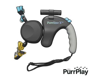 Verwandle deinen Alltag mit einem glücklichen Hund!